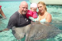 Stingray City Experience Plus Two Snorkeling Stops on Grand Cayman