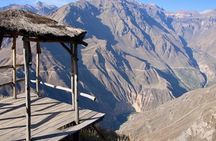 Colca canyon 2 days 1 night by car. (sleeping in cabanaconde)