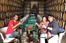 Tequila: Private Half-Day Tour