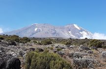 8 Day Kilimanjaro Lemosho Climb