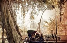 4-Hour Walking and Horse Carriage City Tour of Cairo
