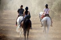Granada & Sierra Nevada Horse Riding Tour