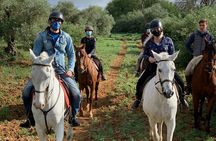 Granada & Sierra Nevada Horse Riding Tour