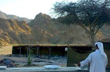 Desert Safari 5x1 Quad Camel Dinner Show Stargazing