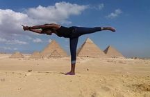 Pyramids of Giza-Saqqara-Dahshur and Memphis Private Day Tour