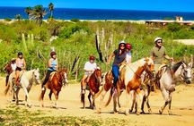 Migriño Beach Horseback Riding Experience