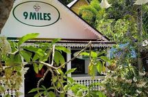Private Tour of Bob Marley Nine Miles from Montego Bay 