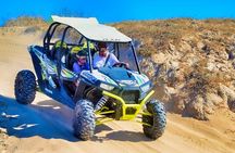 Half-day Wild Desert Polaris Razor UTV Tour