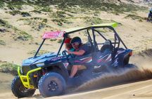 Half-day Wild Desert Polaris Razor UTV Tour