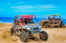 Half-day Wild Desert Polaris Razor UTV Tour