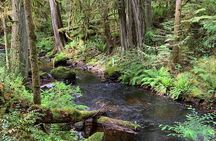  Sunshine Coast Escape (Around Vancouver) Small Group Tour