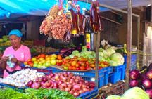 Half Day Dominican Republic Cultural Tour : Small Group