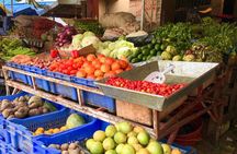 Half Day Dominican Republic Cultural Tour : Small Group