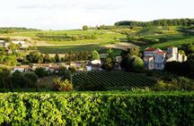 Half-day Guided E-Bike Ride to Discover The Cognac Vineyard