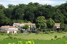 Half-day Guided E-Bike Ride to Discover The Cognac Vineyard