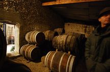 Half-day Guided E-Bike Ride to Discover The Cognac Vineyard