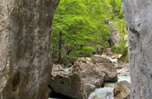 From Bled: Crystal River Hike