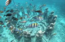 Gili Trawangan,Gili Meno& Gili Air Island:Snorkeling Day Trip Depart from Lombok