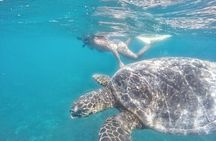 Gili Trawangan,Gili Meno& Gili Air Island:Snorkeling Day Trip Depart from Lombok
