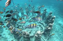 Gili Trawangan Sunset Cruise with Snorkeling & Dinner