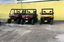 3-Hour Buggy Tour of New Providence (Inclusive of water & local deserts)