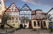 Aschaffenburg Private Guided Walking Tour