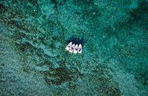 Jungle Tour & Snorkel at Punta Nizuc Reef , Underwater museum