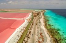 Tour in North and South Bonaire Guided 