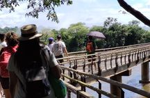 Full-Day Tour to Iguazu Falls 