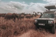 6 Days Budget Tanzania Camping 