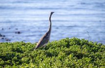 Cape Agulhas Full Day tour