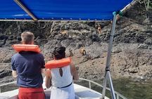 Isla Tortuga Adventure tour from Jaco -full day