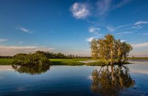 Darwin to Kakadu Day Trip by Air Including Yellow Water Cruise