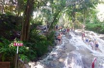 Dunns River Falls Private Day Tour