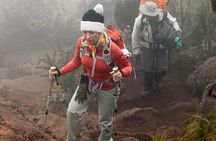 Kilimanjaro day hike on the Shira Plateau from / to Moshi