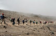 Kilimanjaro day hike on the Shira Plateau from / to Moshi