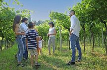 Biodynamic Farm and Natural Wines Tasting in Lazise