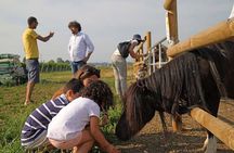 Biodynamic Farm and Natural Wines Tasting in Lazise