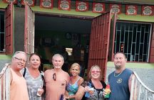 Montego Bay Private Highlights Tour with Pickup