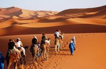 2 Days Private Journey in Fez Desert with Camel Trek 