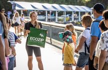 Waiheke Island: Zipline And Forest Walk 