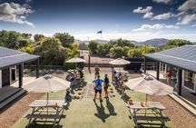 Waiheke Island: Zipline And Forest Walk 