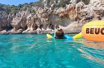 Snorkeling Experience to discover the dolphin inside you!