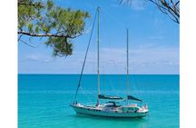 Private Catamaran Swim sail snorkel cliff jumping SUP