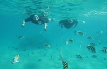 Luxury Snorkeling on Your Vacation Exclusively Private Guaranteed