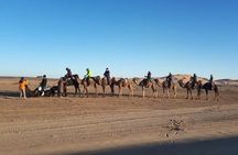 Merzouga Sahara & Erg Chebbi Luxury Bivouac