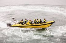 Puffin Tour by RIB Speedboat from Downtown Reykjavik