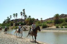 In Marrakesch :Horses ride experience 