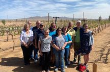 Scenic Desert Wine Distillery Brewery Route 66 Tour
