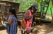 Animal Farm (Mini Zoo) , Bamboo Rafting and Limestone Massage Private Tour